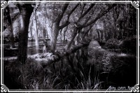 /album/fotogaleria-fotos-b-n/f-6-inpixio-640x480-jpg/